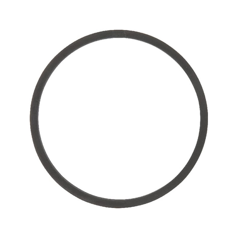 Uszczelka termostatu Fendt F119200050050 - mar-kar.com.pl - 1